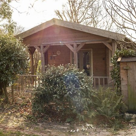 Chalet Ben In Broek Benningbroek Zewnętrze zdjęcie