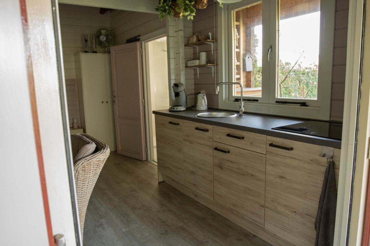 Chalet Ben In Broek Benningbroek Zewnętrze zdjęcie