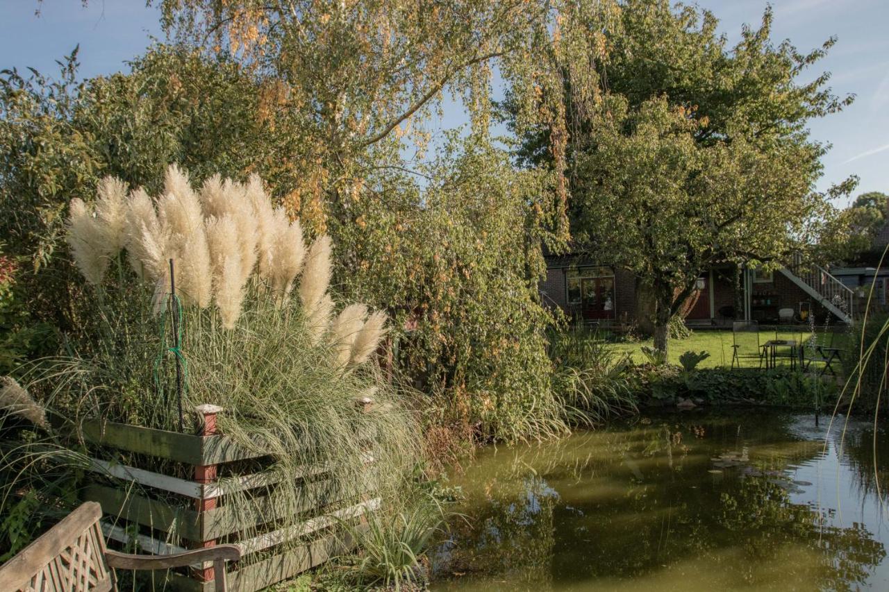 Chalet Ben In Broek Benningbroek Zewnętrze zdjęcie