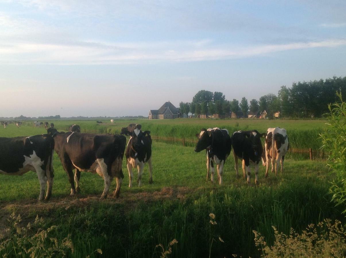 Chalet Ben In Broek Benningbroek Zewnętrze zdjęcie